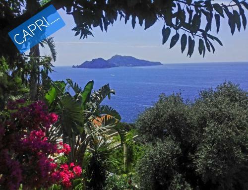 Il Calore Di Stabia Apartment