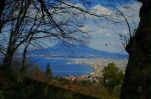 Il Calore Di Stabia Apartment