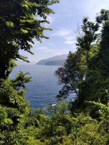 Il Calore Di Stabia Apartment