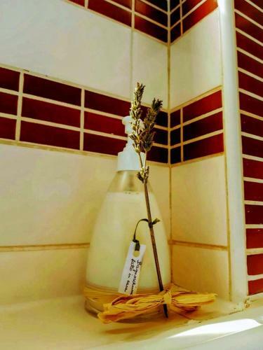 Bed & Breakfast Tettoeletto