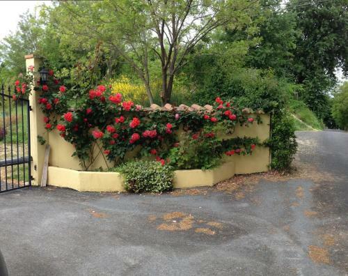 Villa La Casa Gialla