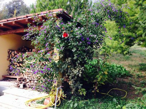 Villa La Casa Gialla