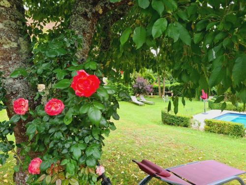 Hostal Ferme De Tayac - Charme Avec Pool