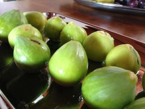 Bed & Breakfast Villa Verdesca