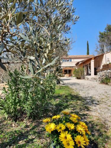 Bed & Breakfast La Salamandre En Provence