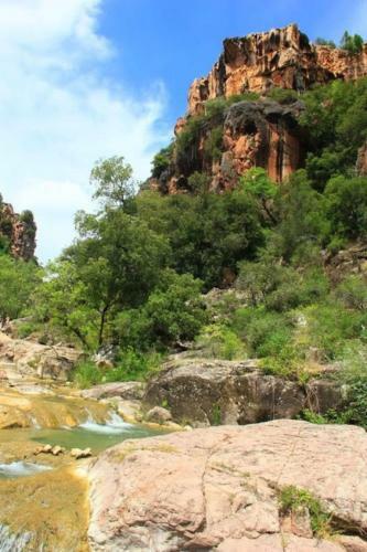 Bed & Breakfast La Salamandre En Provence