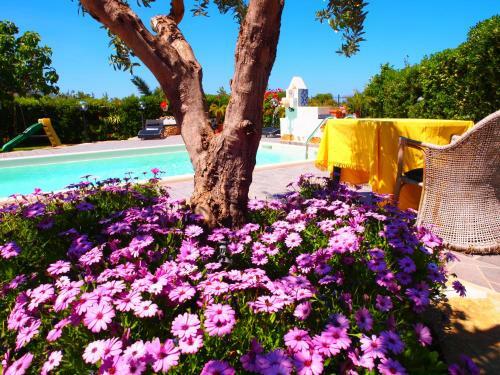 Casa Vacanza Perla Bianca