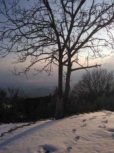 Umbria Vista Lago Trasimeno