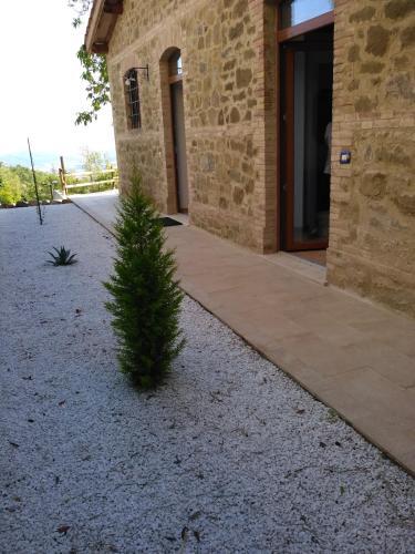 Umbria Vista Lago Trasimeno