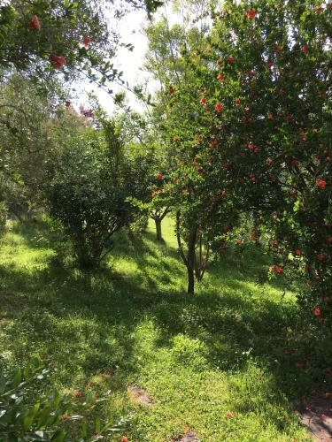 Apartamento Casale Le Querce
