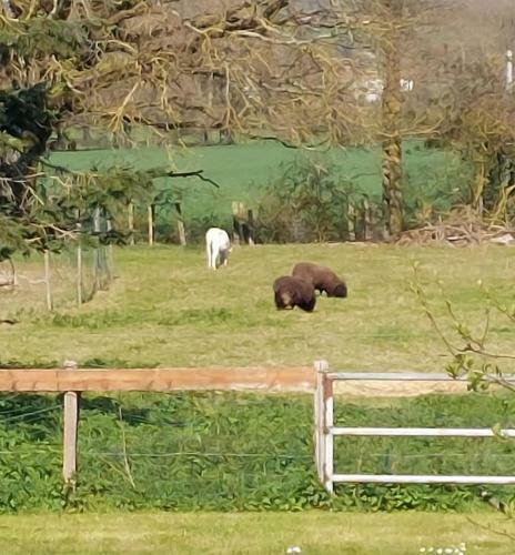 D�pendance � La Campagne