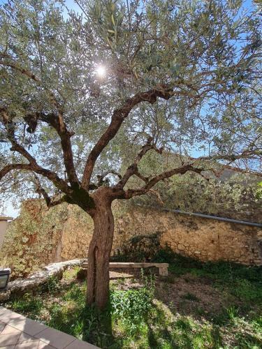 Apartamento Borgo Donna Teresa