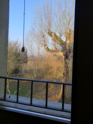 Bed & Breakfast Il Boschetto Di Morgana