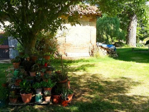 Bed & Breakfast Il Boschetto Di Morgana