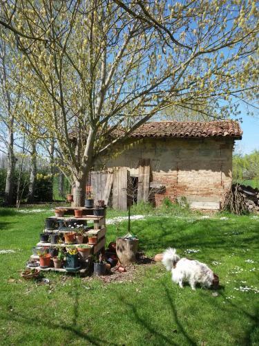 Bed & Breakfast Il Boschetto Di Morgana