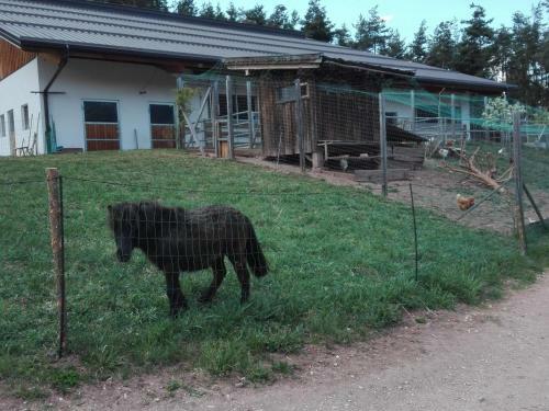 Agroturismo Parlunkhof