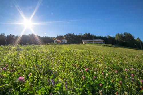 Agroturismo Parlunkhof