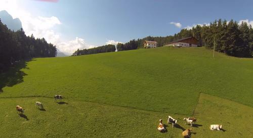 Agroturismo Parlunkhof