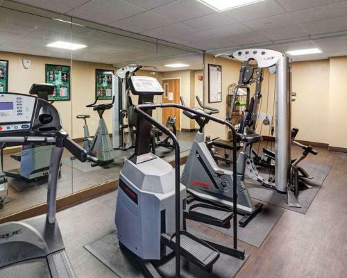 Holiday Inn Express Hotel And Suites Plano East