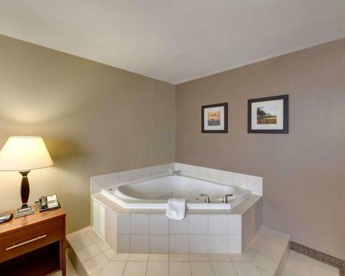 Holiday Inn Express Hotel And Suites Plano East