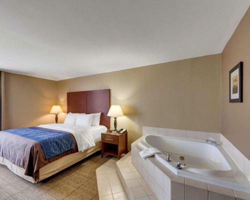 Holiday Inn Express Hotel And Suites Plano East
