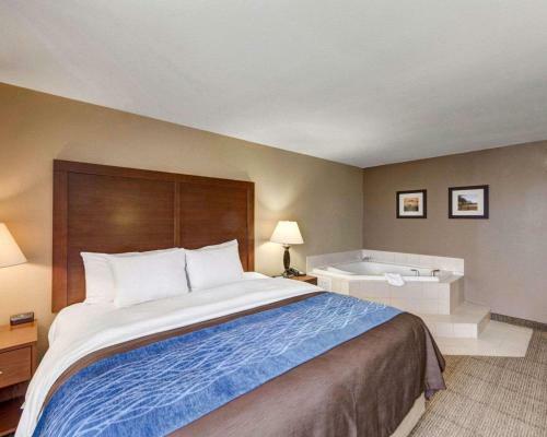 Holiday Inn Express Hotel And Suites Plano East