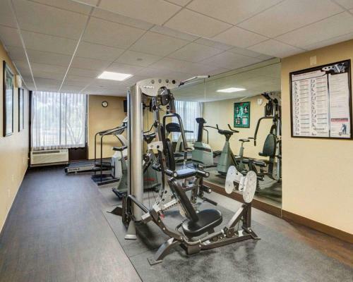 Holiday Inn Express Hotel And Suites Plano East