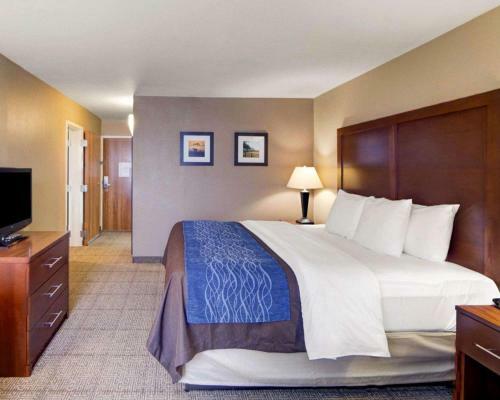 Holiday Inn Express Hotel And Suites Plano East