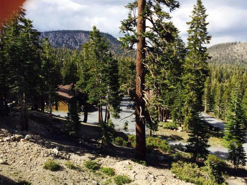 Apartamentos Mammoth Point By 101 Great Escapes
