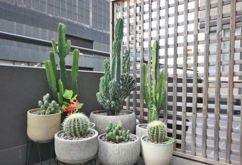 Apartamento Slick Spacious Studio