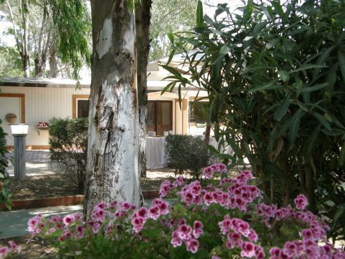 Hotel La Fattoria Park