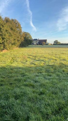 Sfeervol Huis Op Het Platteland