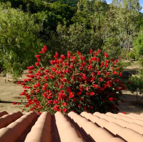 Bed & Breakfast Rossofiore