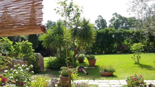 B&B Nel Giardino In Fiore