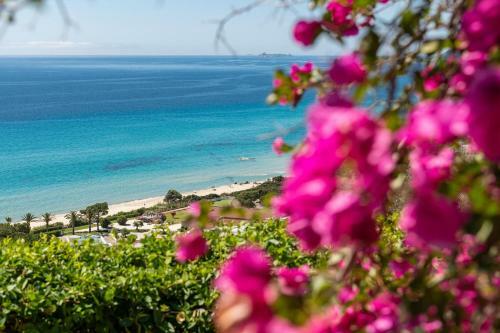 Apartamento Domus Blanca Ivan