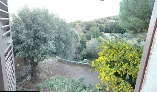 Apartamento La Charmante **** Maison Cap Corse, Tomino