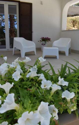 Apartamento B&B Castellammare Home