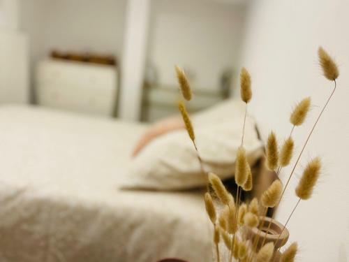 Apartamento F2 Avec Jacuzzi � 1mn de La Plage + Parking Priv�