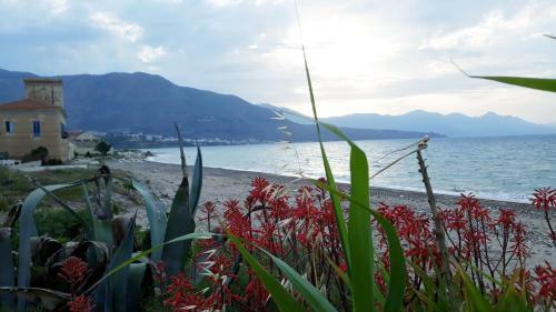 Il Canto Del Mare