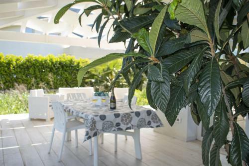 Borgo Aranci - Villa Tulipano