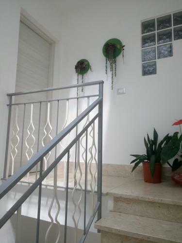 Apartamento Appartamento New