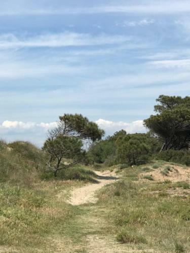 Oh! Campings - La Tamarissi�re Agde