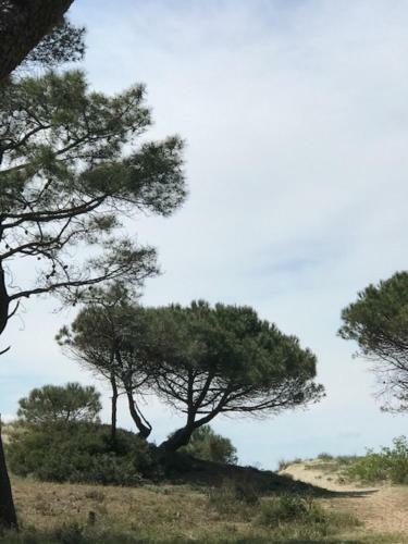 Oh! Campings - La Tamarissi�re Agde