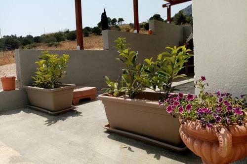 Casa Vacanze Krimis�s