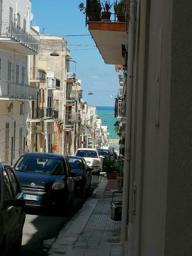 Apartamento Nella House