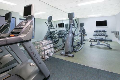 Hotel Holiday Inn Express & Suites Roswell