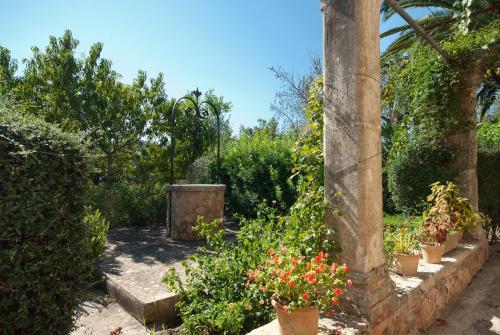 Villa Punxa