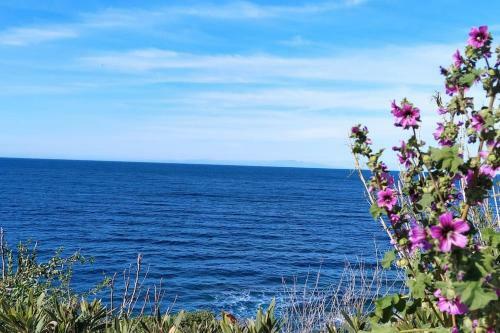 Homelike Apartment In Castelsardo - Iun Q2967
