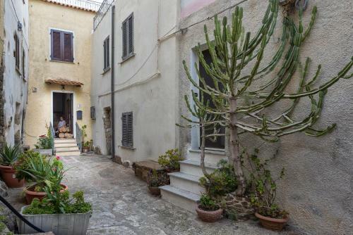 Apartamento Casa Cerin