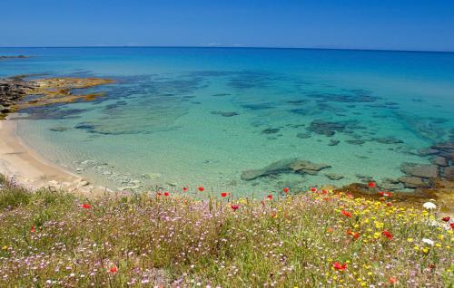 Apartamento Appartamento Per Vacanza